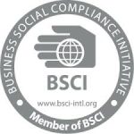 bsci logo